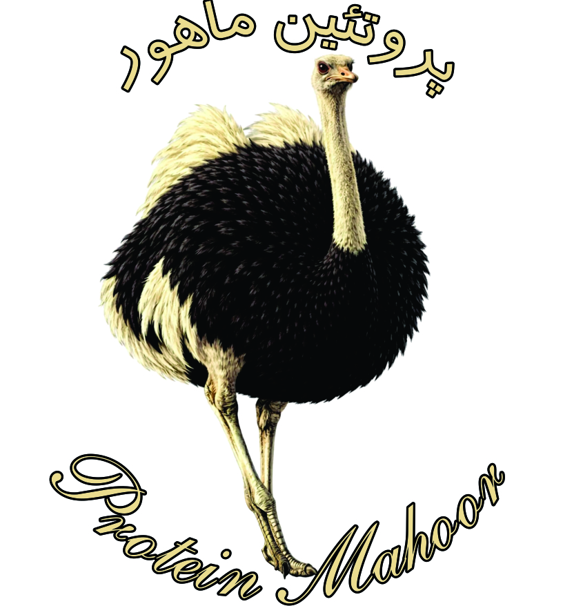 پروتئین ماهور